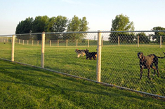 ohana farm dog boarding facility